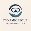 아래로 | 아이스다이빙 페스티벌 후기 한겨울 얼음 아래로 들어간다고?