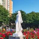 중화1동공영주차장 | 중랑천장미축제 후기 주차장 안내