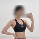 스포츠탑 | 나이키 스포츠 브라탑 내돈내산 러닝 일체형브라탑 추천