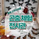 고대1081 이미지