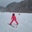 키즈수영센터 이미지