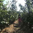 대심농장 이미지