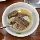 밀면전문점 | 김해 장유 맛집 초정육전밀면갈비탕전문점 후기