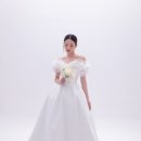 제이미브라이드