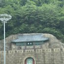 영월보쌈 | [영월 여행] 영월서부시장 먹거리부터 곤드레 솥밥까지! 직접 가본 로컬 맛집 모음