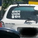 한들가스 이미지