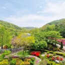 아름다운동행 이미지