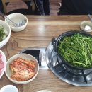 등촌샤브칼국수(안중점) | 해장겸 점심, 안중 등촌칼국수에서...