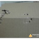 써리 독 네이버블로그