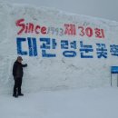 24.2월1일 제30회 대관령 눈꽃축제(2024 강원동계청소년올림픽대회) 이미지