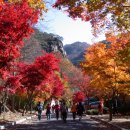 동두천-031 이미지