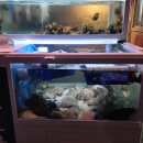 감포조개구이 이미지