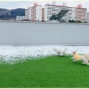 놀루오숑 이미지