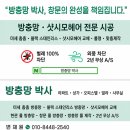 경화어린이집 | 덕양구 어린이집 방충망 교체, 아이들의 건강을 위한 나무를 키우는 햇살 어린이집 미세방충망 시공 후기
