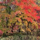 내 삶은 너를 찾아 떠나는 여행 ....Tedium Of Journey (긴 여정) - The Sound Of Angels 이미지