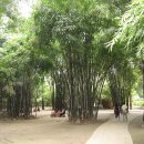 설도공원 이미지