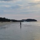 동호전자 이미지