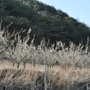 재명농장 이미지