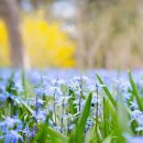 호애농장 이미지