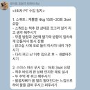 로이휘트니스 | 대구 침산동 PT 로이짐 헬스장 후기