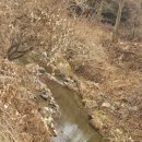 새자리농원 이미지