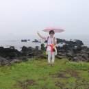 강정동-7 이미지