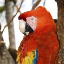 잠실동물병원 이미지