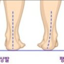 머슬제이 네이버블로그