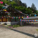 자연과우리펜션야영장 이미지