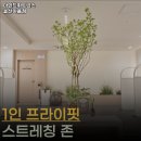 마인드휘트니스 야음점 | 울산 헬스장 마인드휘트니스 울산야음점 내용가격운영시간주차리뷰 알아보기