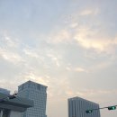 요가 | 광화문광장, 감사의정원 달빛 요가 후기
