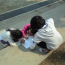 조종초등학교