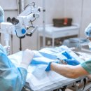 논현동물병원 이미지