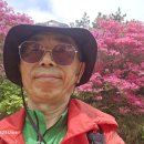 부산통일관 Daum카페