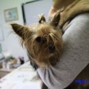 강산동물병원 이미지