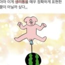 경북대학교병원 | 2026.03. 경북대학교병원 산부인과 자궁내막유착 초진후기 (박준철 교수님)