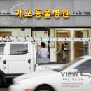 개포동물병원 이미지