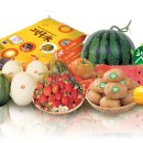 고령유통 이미지