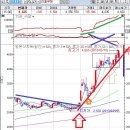 (주)세진통상 이미지