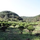 진주 강수명 묘역 이미지