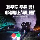 나래 워싱 | 푸른 밤! 아이들과 꼭 가야 할 야경 명소&#39;루나폴&#39; (주차/이용요금/할인팁!/소요시간/루나폴워싱볼구입)