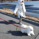 영락공원로 이미지