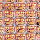 양양 태권도장 이미지