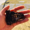 스페이스바이샤샤 이미지