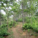 용강수정 이미지