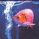 황제유통 이미지