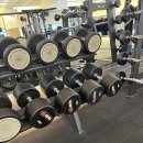 덤벨+덤벨랙 아이언불 ~50kg 풀세트 판매 / 바벨 세트 판매합니다 이미지