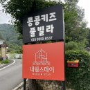 내림 펜션 | |가평| 내림스테이 감성풀빌라 개별 수영장펜션 &#39;내림‘ 후기