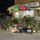 삼익뉴비치아파트 노동조합 | 2021~2023년 첫 신혼집 기록