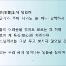 이제인 카카오 검색결과